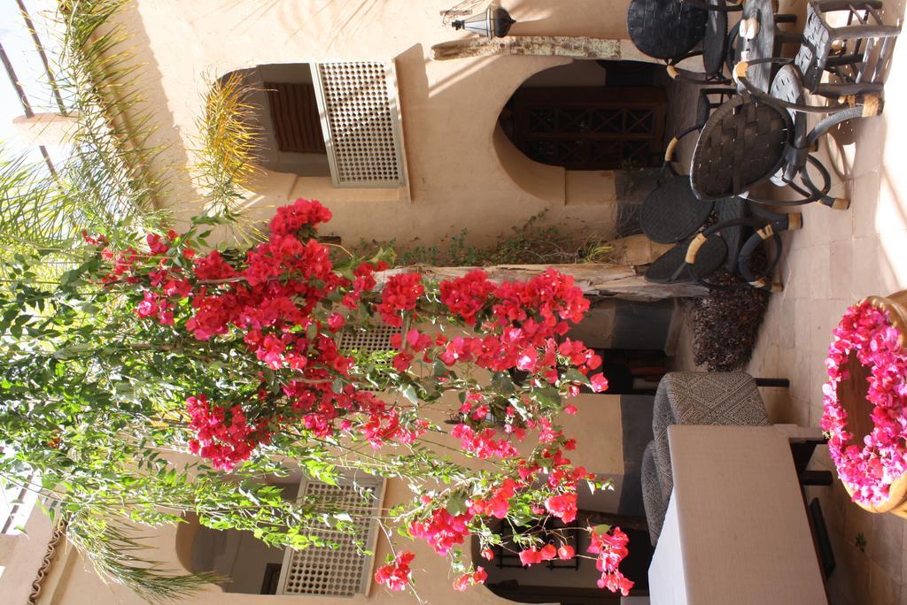 Riad El Koudia Douar el Koudia ภายนอก รูปภาพ